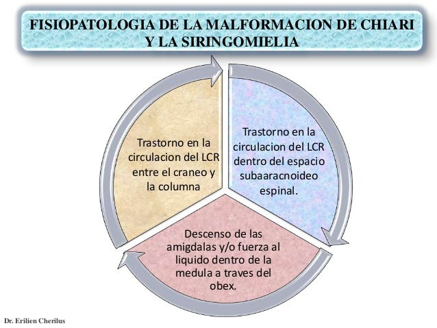 fisiopatologia siringomielia